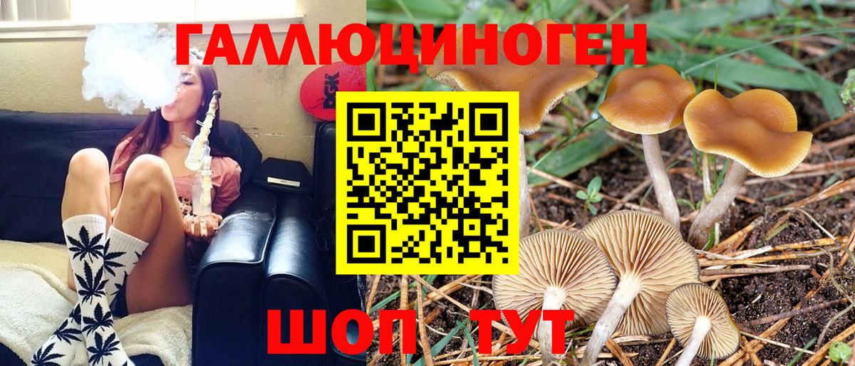 Галлюциногенные грибы Cubensis Вязники